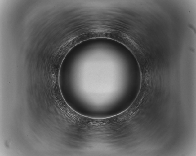 X0000100880821200806201244