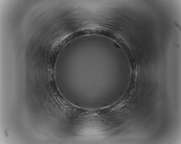 X0000100880822200806201244