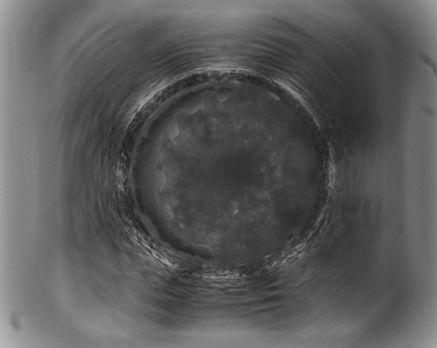 X0000100880823200806201244