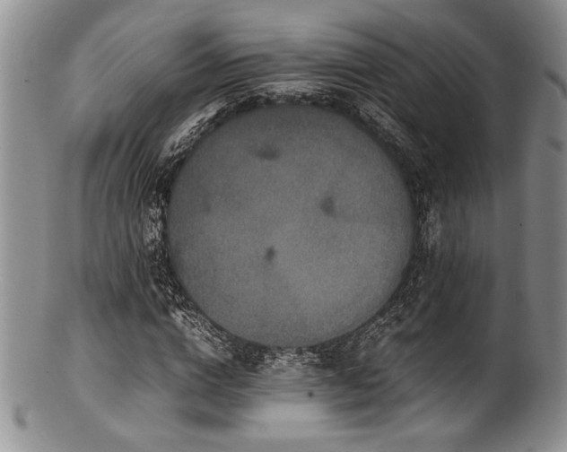X0000100880824200806201244