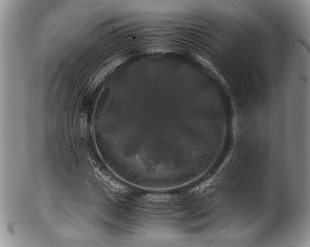 X0000100880825200806201244