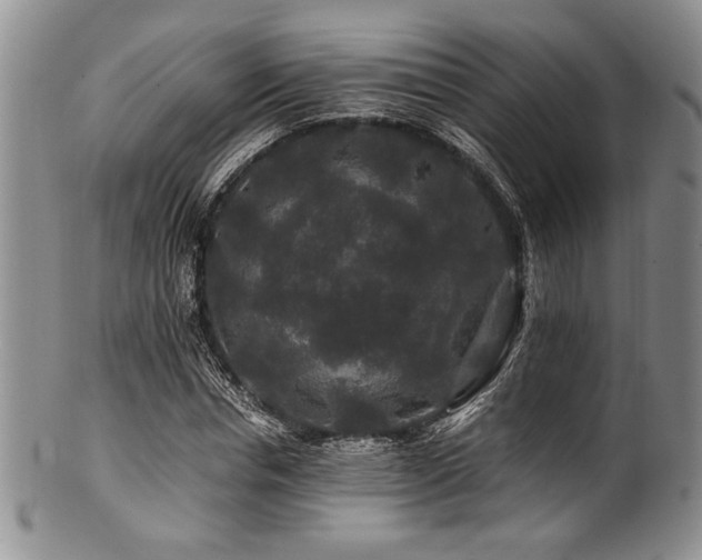 X0000100880826200806201244