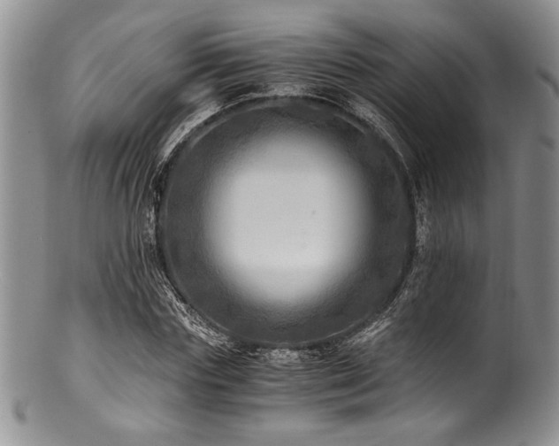X0000100880827200806201244