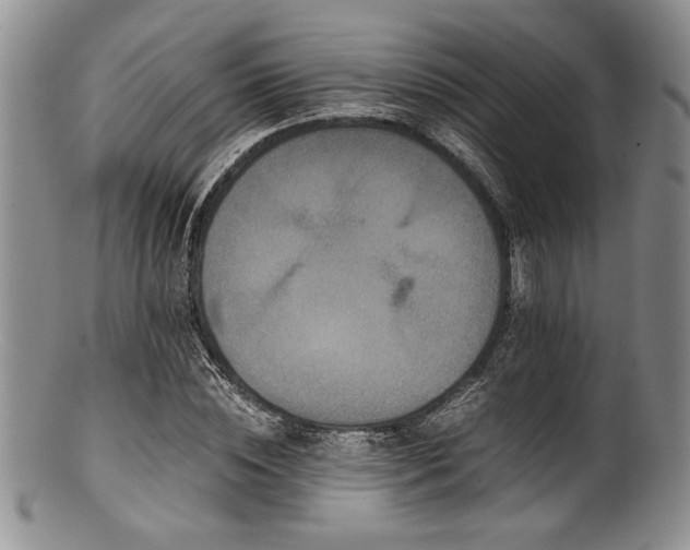 X0000100880828200806201244