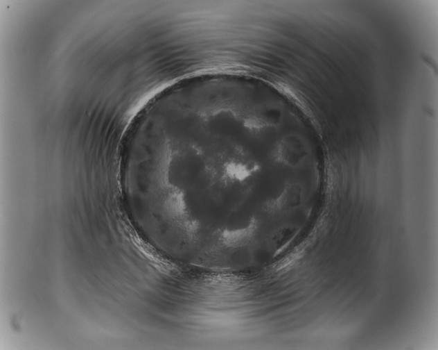 X0000100880830200806201244