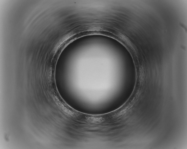X0000100880831200806201244
