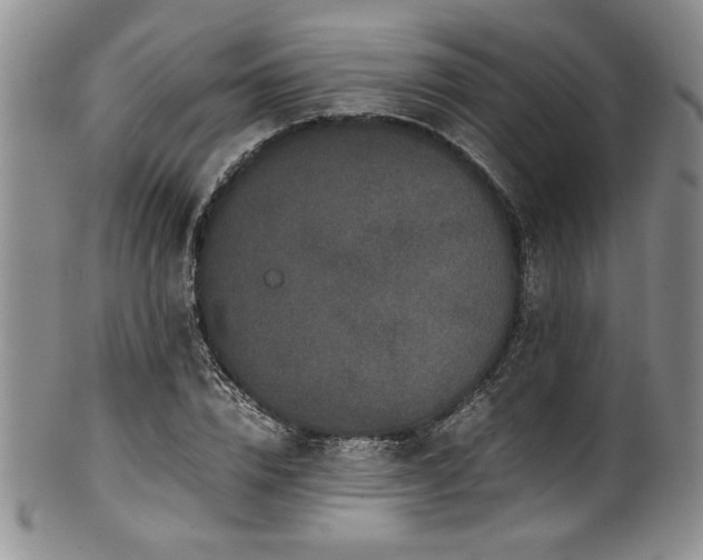 X0000100880832200806201244
