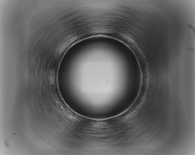 X0000100880833200806201244