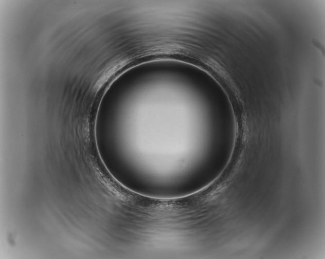 X0000100880834200806201244