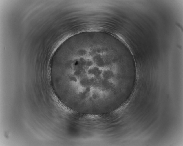 X0000100880835200806201244