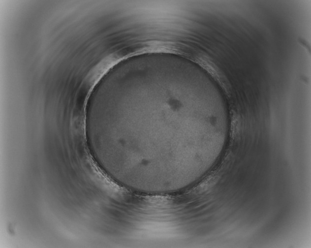 X0000100880836200806201244