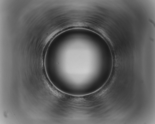 X0000100880837200806201244