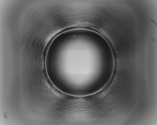 X0000100880838200806201244