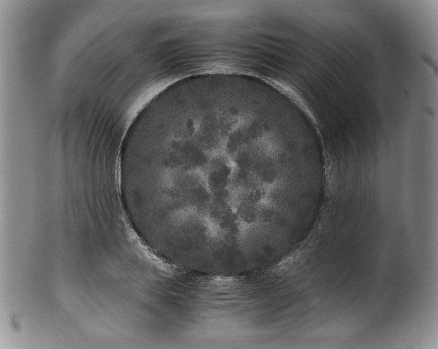 X0000100880839200806201244