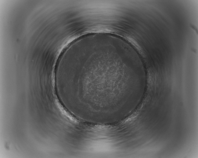 X0000100880840200806201244