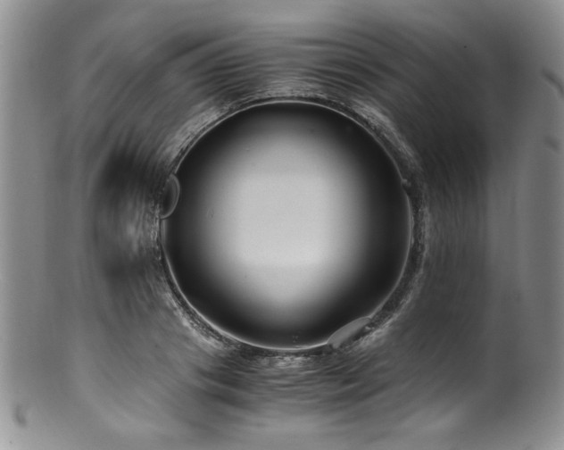 X0000100880841200806201244