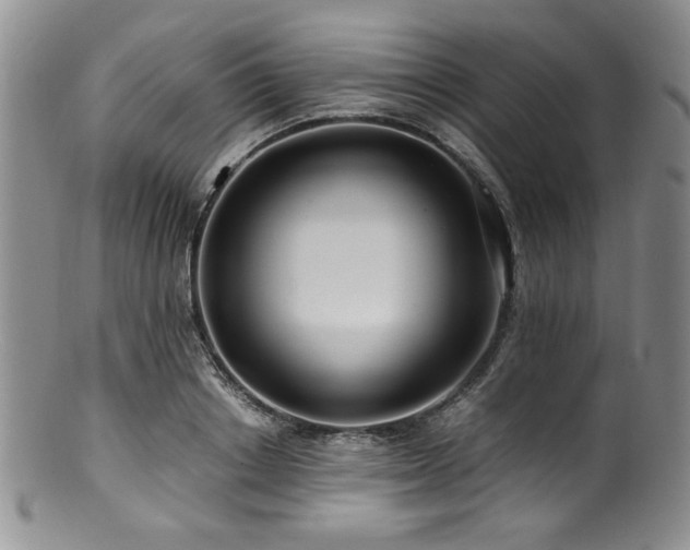 X0000100880842200806201244