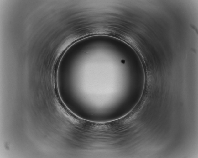 X0000100880843200806201244