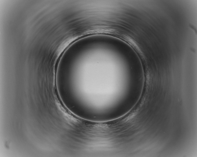 X0000100880844200806201244