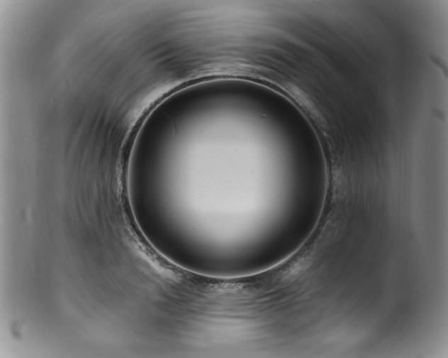X0000100880846200806201244