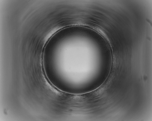 X0000100880847200806201244