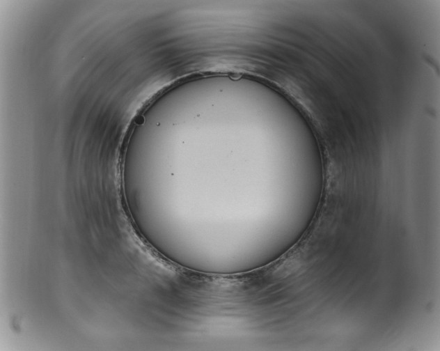 X0000100880848200806201244