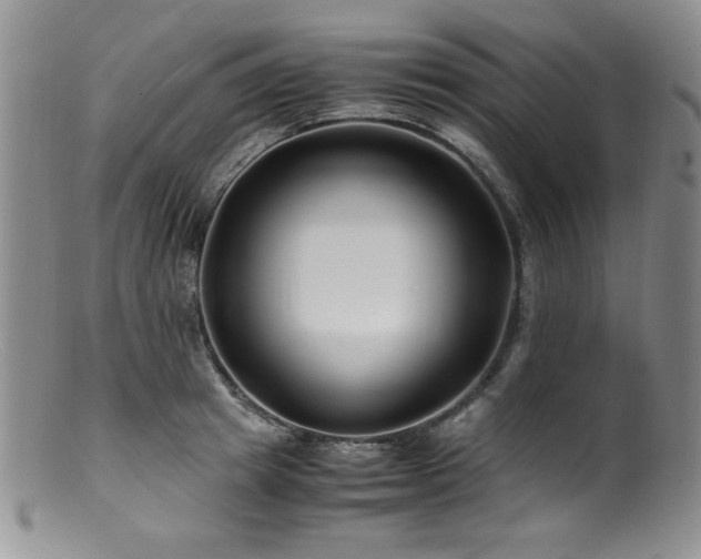 X0000100880849200806201244