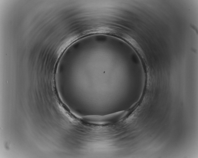 X0000100880850200806201244