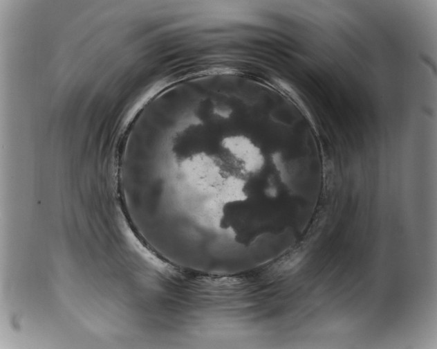 X0000100880851200806201244