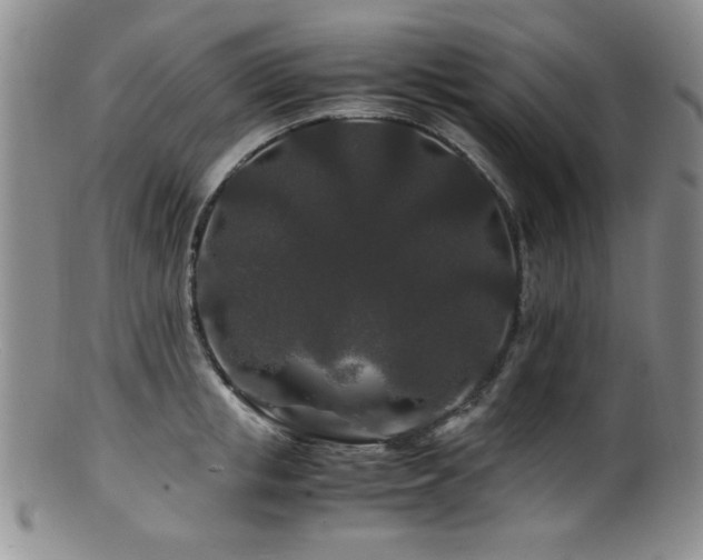 X0000100880853200806201244