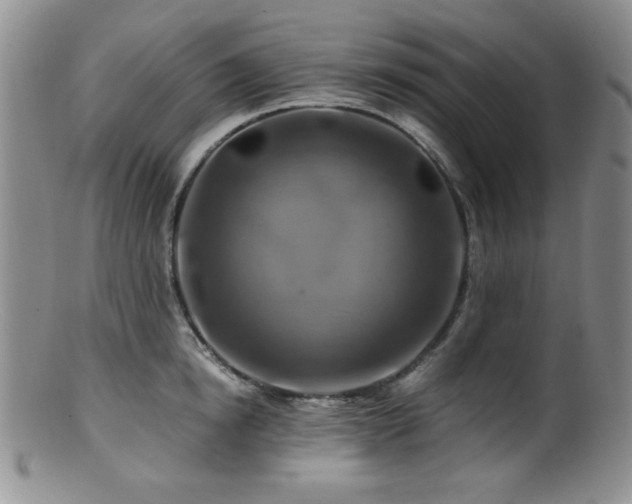 X0000100880854200806201244