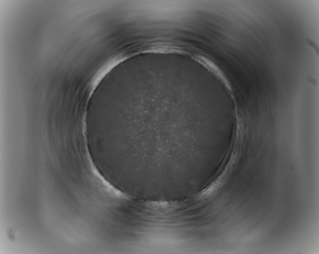 X0000100880855200806201244