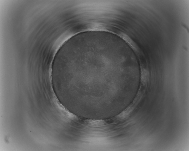 X0000100880856200806201244
