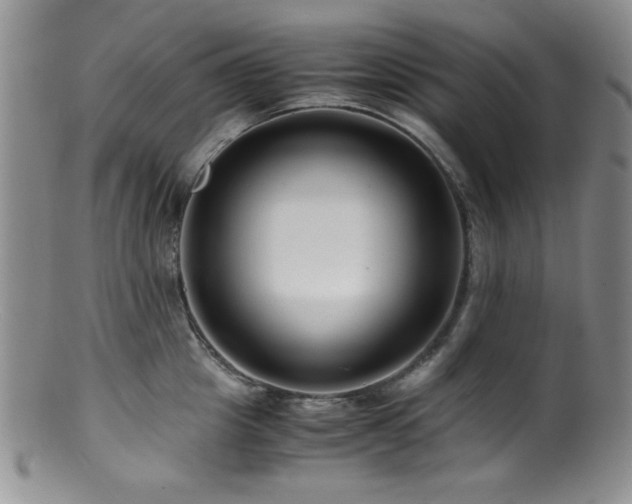 X0000100880857200806201244
