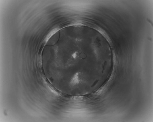 X0000100880858200806201244