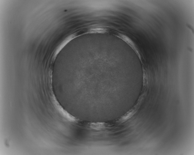 X0000100880859200806201244