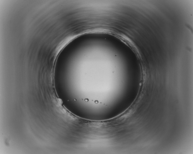 X0000100880860200806201244