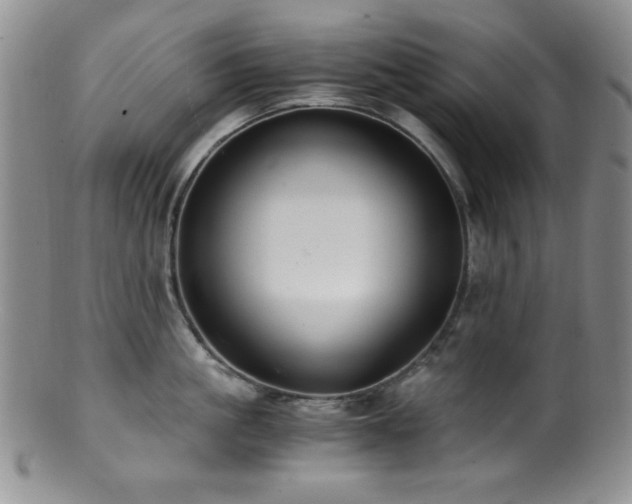 X0000100880861200806201244