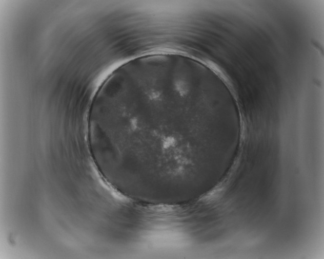 X0000100880862200806201244