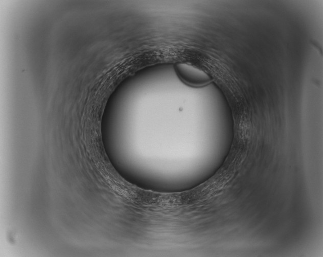 X0000100880865200806201244