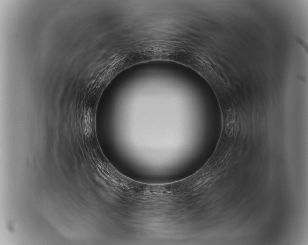 X0000100880866200806201244