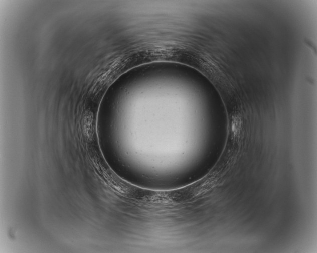 X0000100880867200806201244
