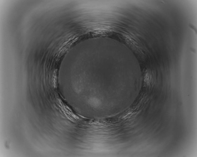 X0000100880868200806201244