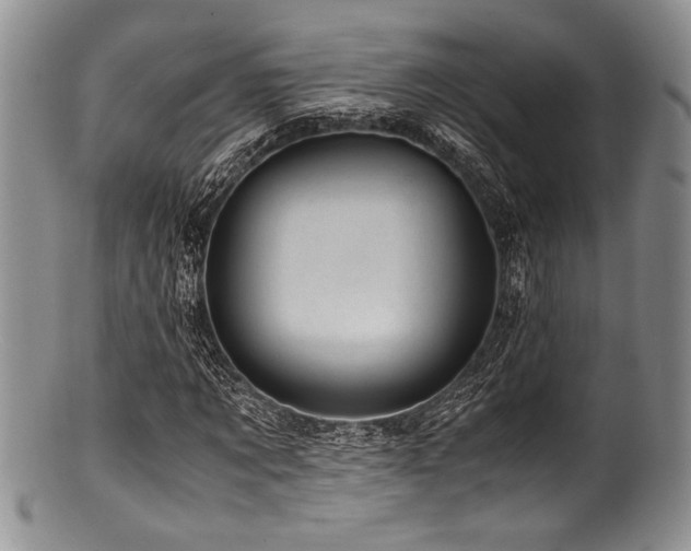 X0000100880869200806201244