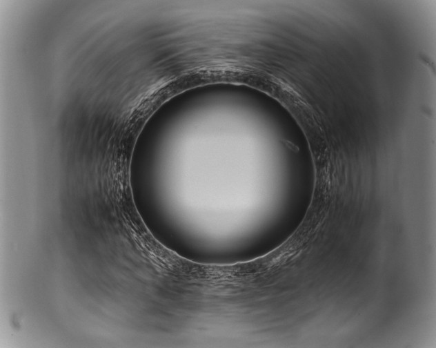 X0000100880870200806201244