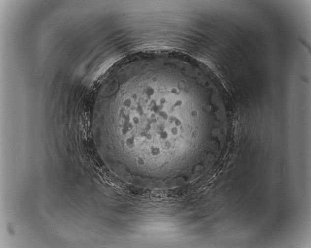 X0000100880871200806201244