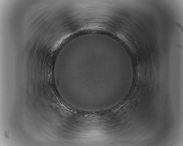 X0000100880872200806201244