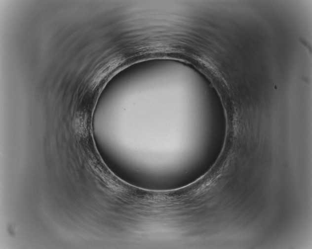 X0000100880873200806201244