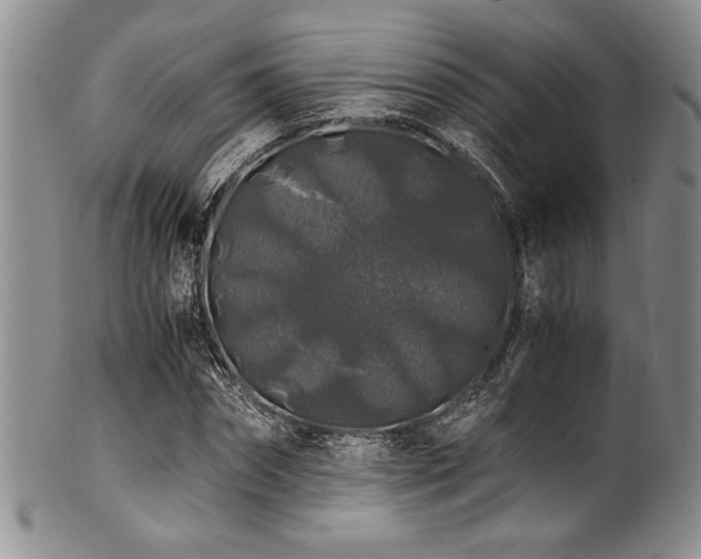 X0000100880874200806201244