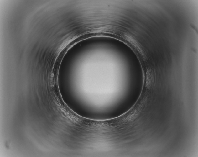 X0000100880876200806201244